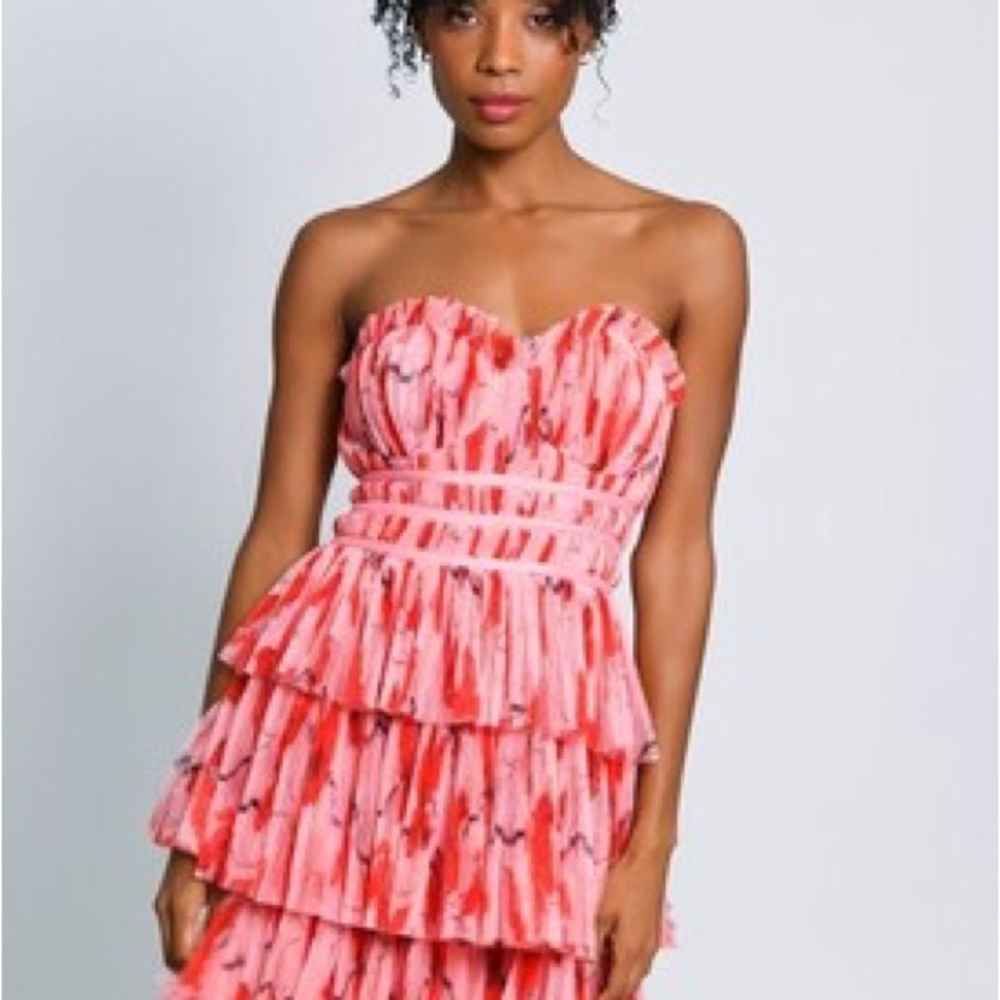 Strapless Pink Ruffle Maxi Gown - Hutch - size 4